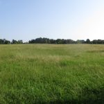 IMG_3591